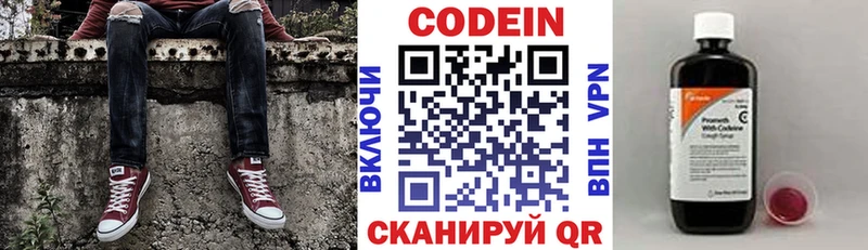 где купить наркотик  гидра ONION  Codein напиток Lean (лин)  Гусь-Хрустальный 