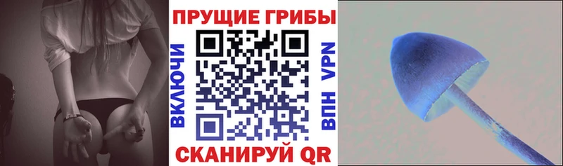 цены   blacksprut ссылка  Галлюциногенные грибы MAGIC MUSHROOMS  Гусь-Хрустальный 